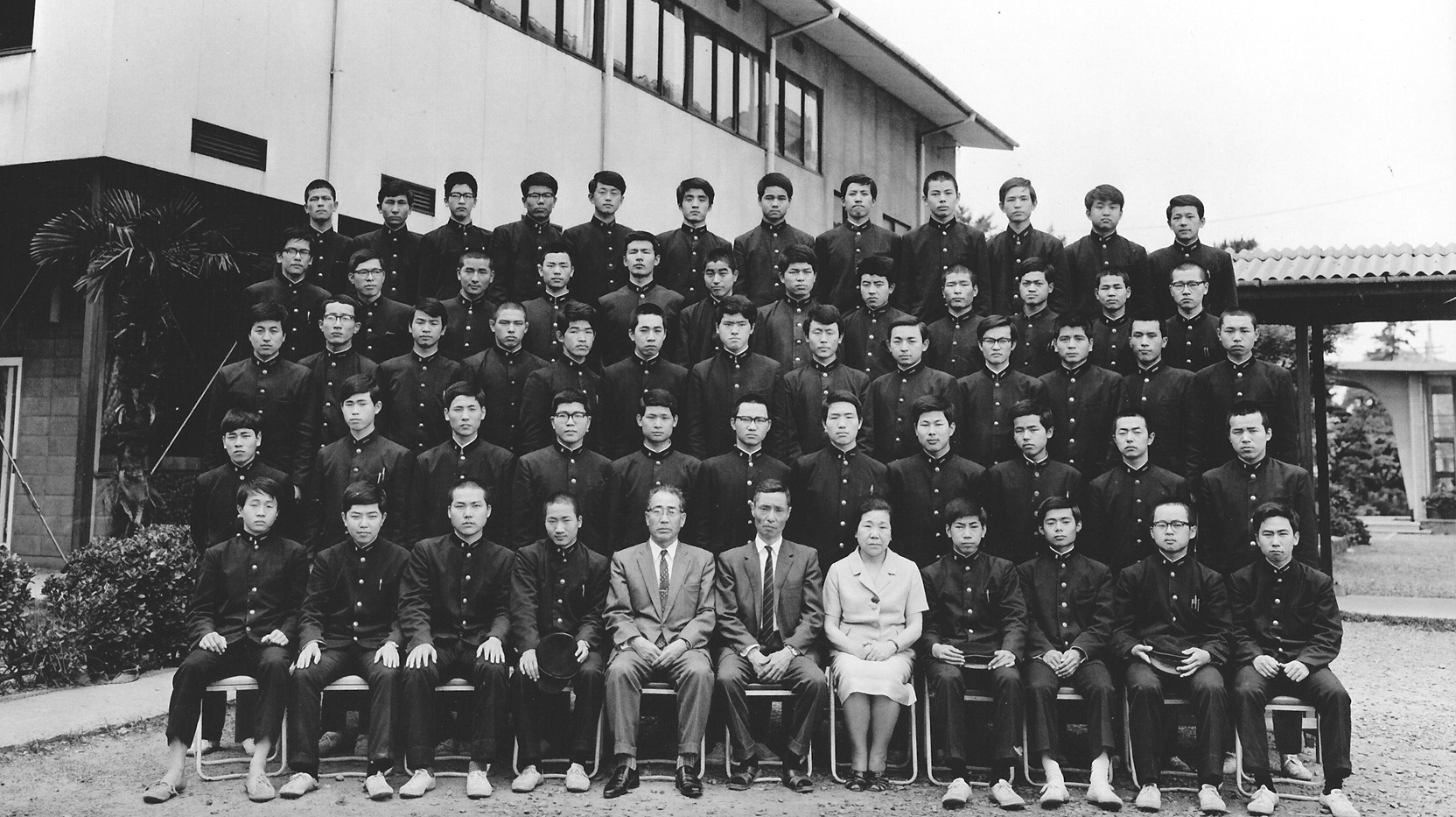 歯科医師
